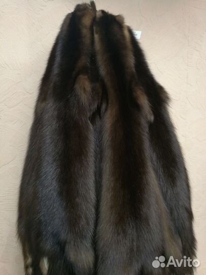 Шкура Соболь