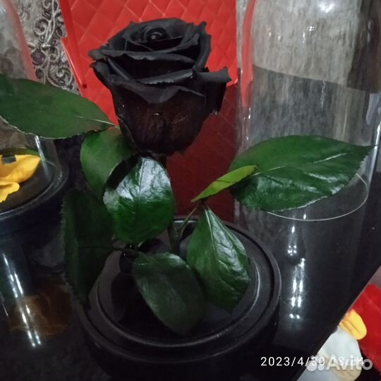 Вечная роза в колбе