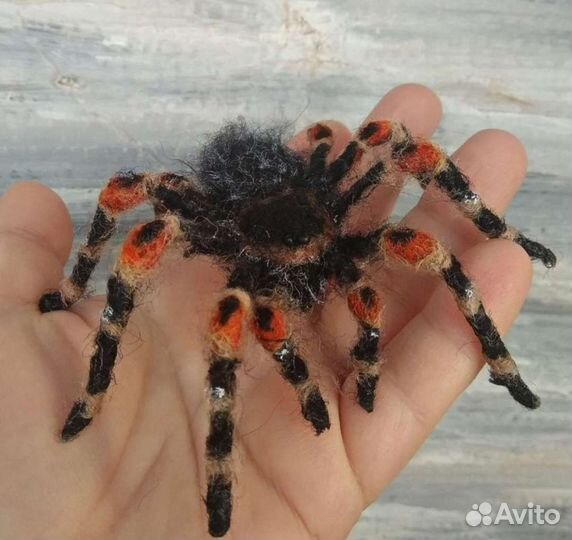 Паук Птицеед. Брошь из шерсти