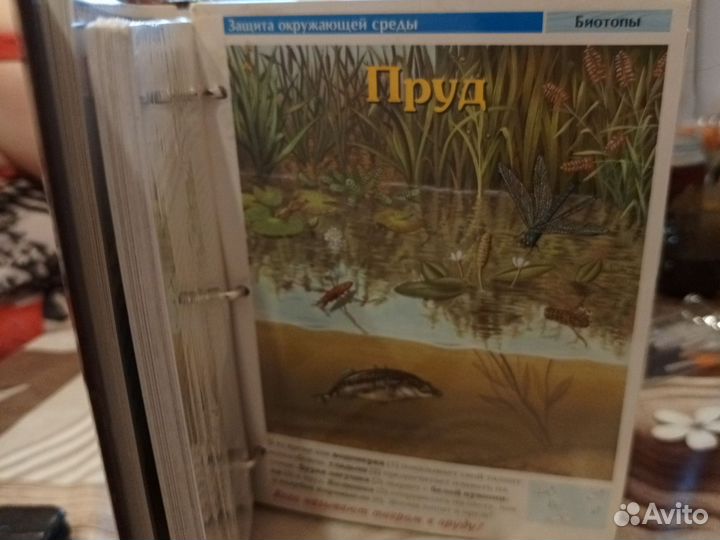 Детская энциклопедия