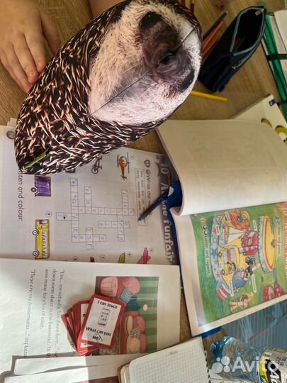 Репетитор по английскому языку огэ, егэ