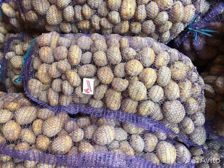 Продам Картошку, лук.(опт, мелкий опт)