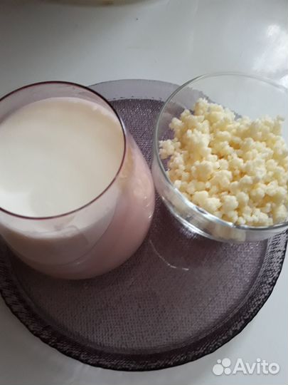 Чайный гриб, молочный гриб,рисовый гриб