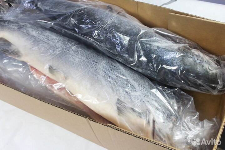 Лосось тушка