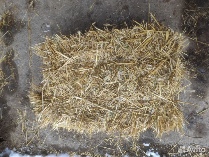 Солома в тюках