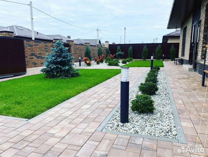 Рулонный газон из собственного питомника