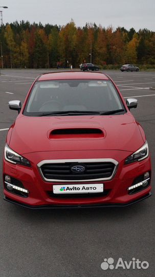 Subaru Levorg 1.6 CVT, 2016, 63 400 км