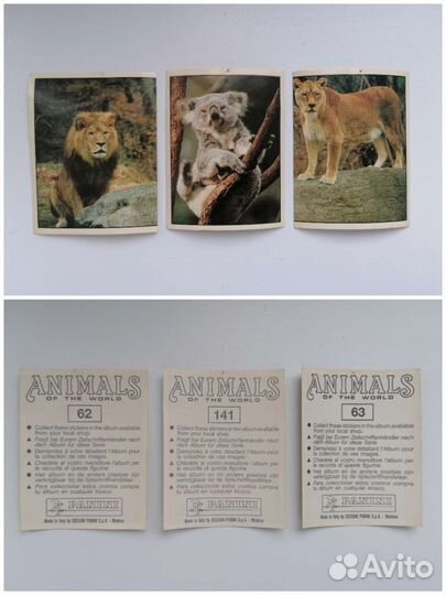 Наклейки Panini