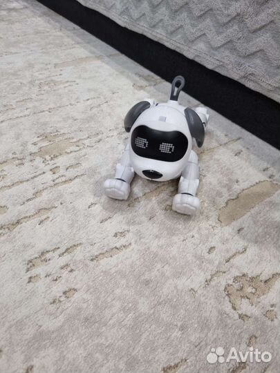Робот собака на дистанционном управлении