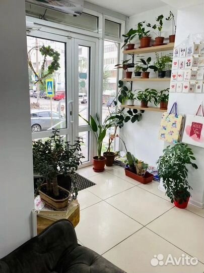 Цветочный магазин, магазин цветов