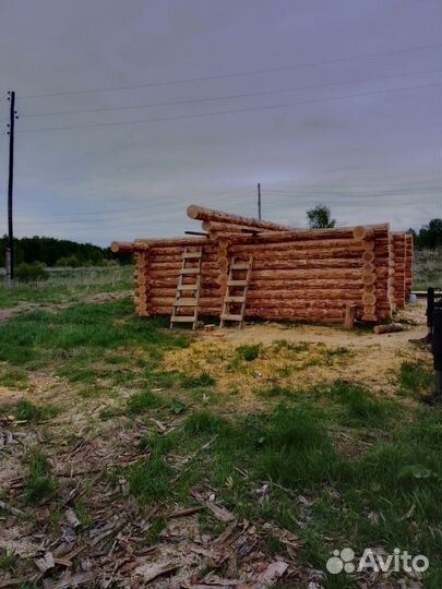 Рубка домов бань