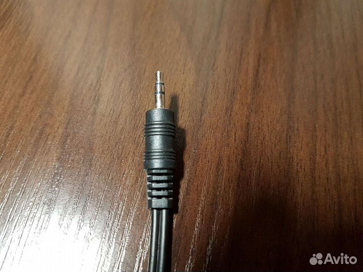 Тюльпаны провода