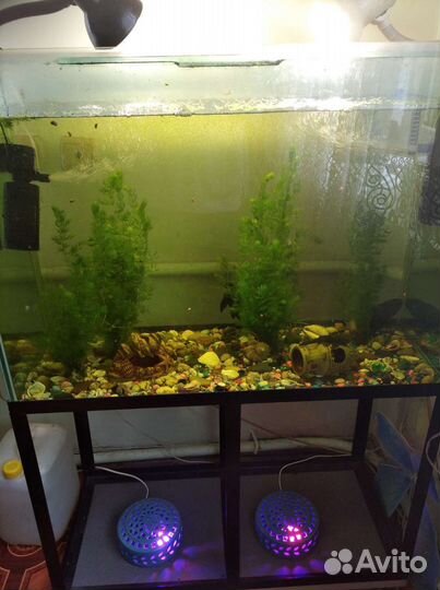 Аквариум