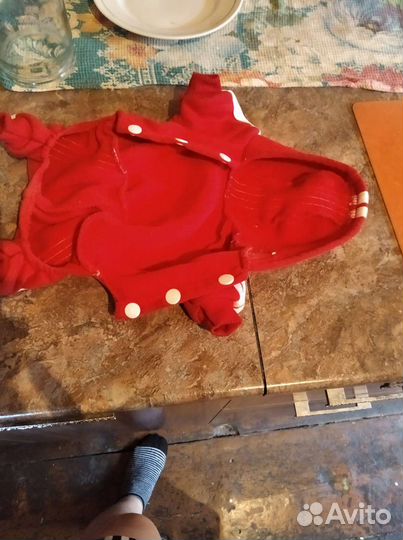 Костюмчик для собак