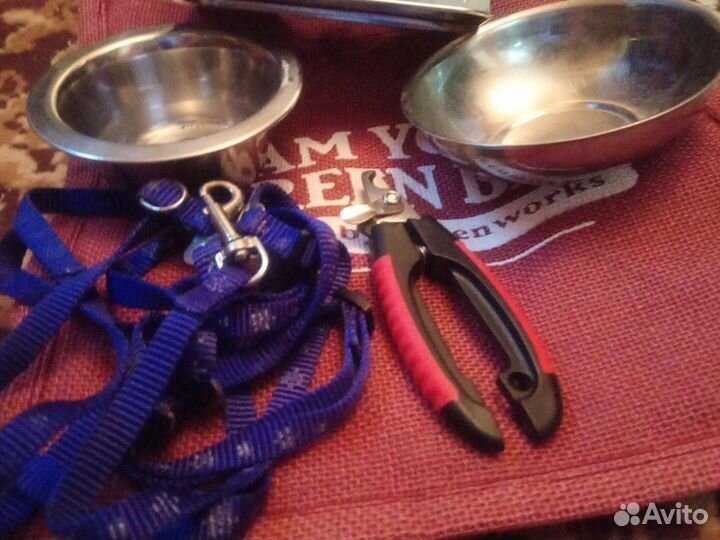 Когтерезка, шлейка, миски, баночка для корма