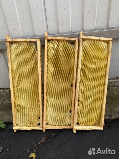 Рамки для ульев сушь