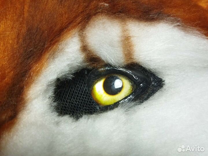 Фурсьют лисы