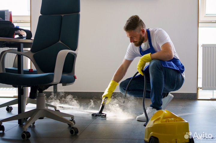 Аренда моющего пылесоса Karcher