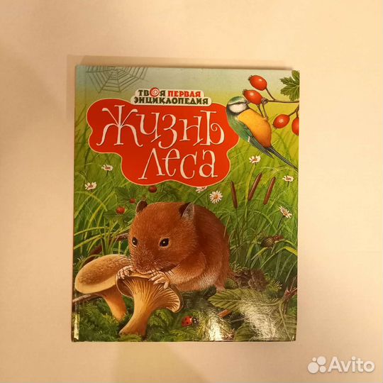 Детская энциклопедия Махаон