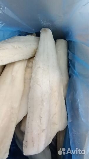 Филе судака на коже замороженное