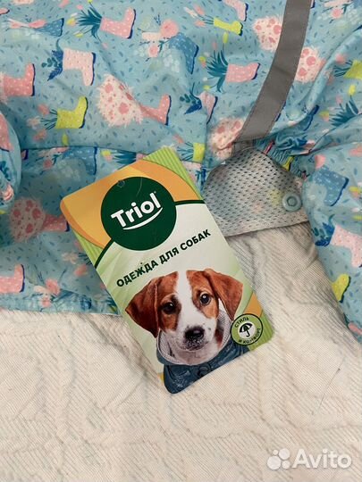 Костюм-дождевик для собак (L)