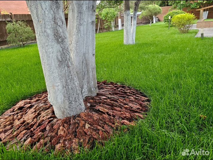 Рулонный газон Стандарт под ключ