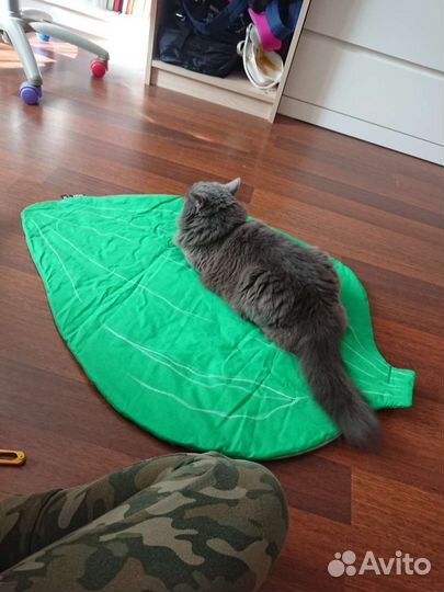 Лежанка, коврик, подстилка для домашнего питомца