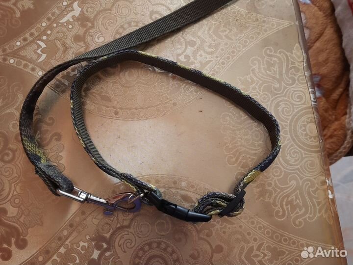 Ошейник для собак