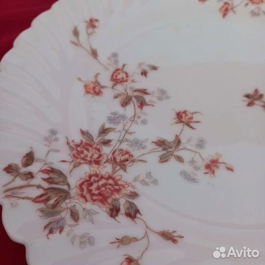 Тарелки. Граф Гаррах