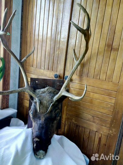 Предметы интерьера