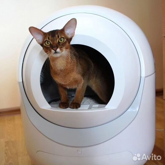 Умный туалет для кошек Wowall