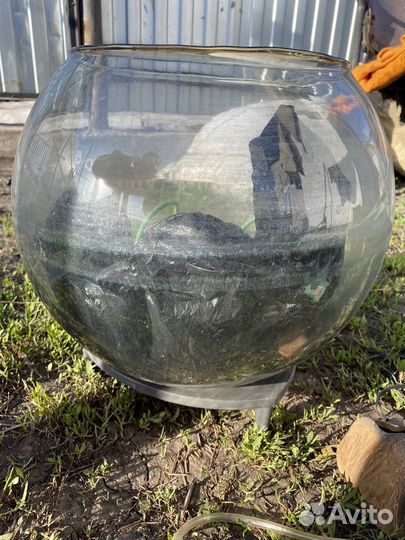 Аквариум круглый