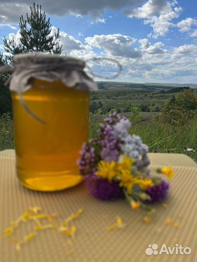 Мёд лесной 2023 года