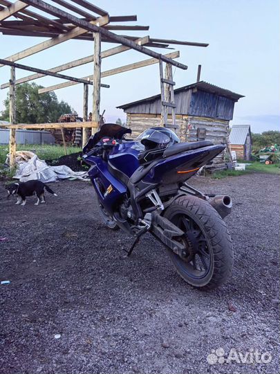 Продам irbis Z1 250cc