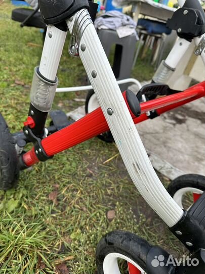 Коляска adamex 3 в 1