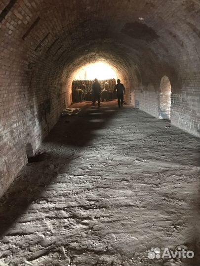 Продам кирпичный завод