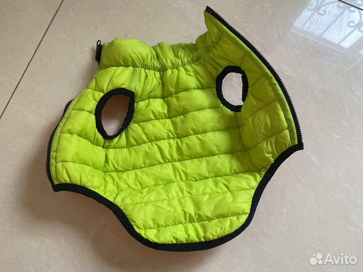 Одежда для собак