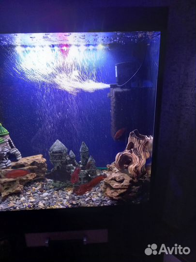 Аквариум
