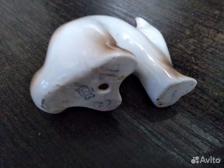 Лиса фарфоровая