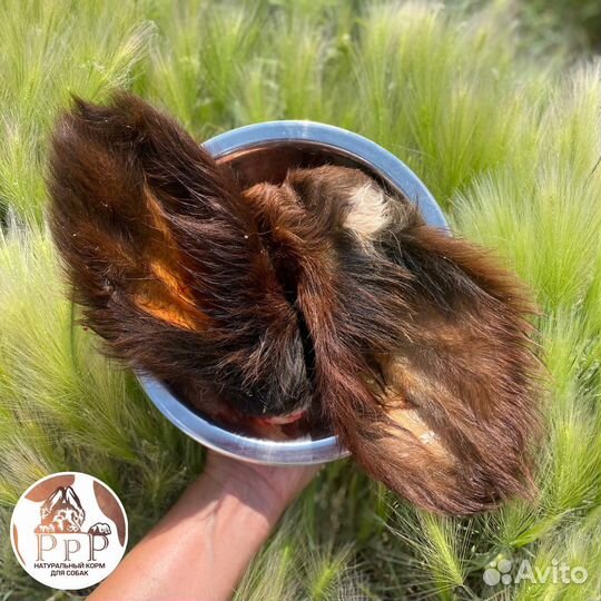 Мясо для собак. Корм для собак. Корень. Кости