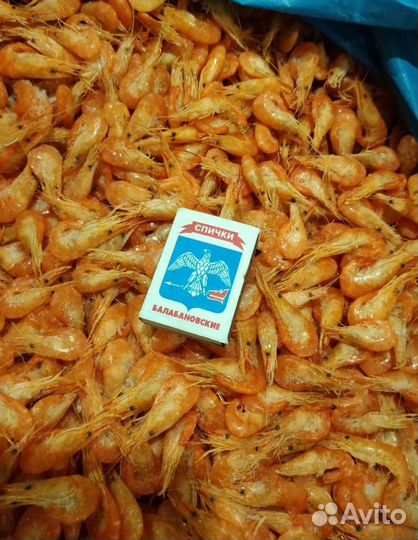 Креветка черноморская вареная