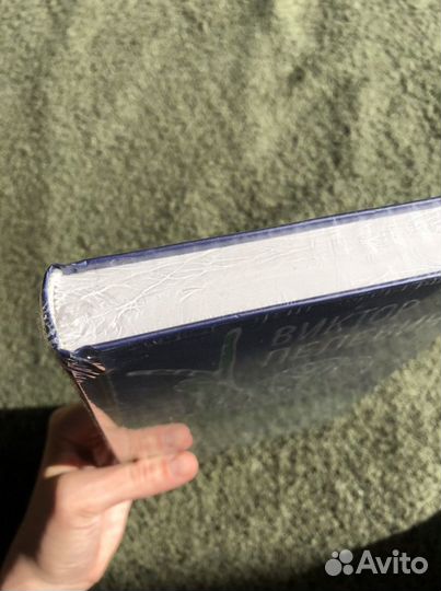 «Тайные виды на гору Фудзи», Виктор Пелевин