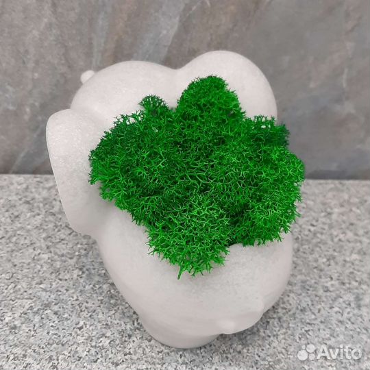 Слоник со стабилизированным мхом