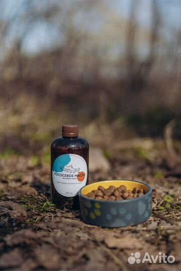 Лососевое масло для собак натуральное