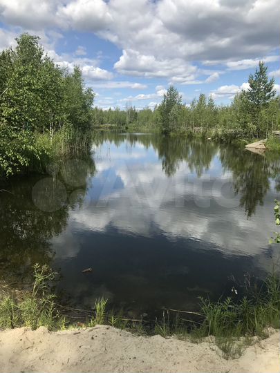 Участок 6 сот. (СНТ, ДНП)