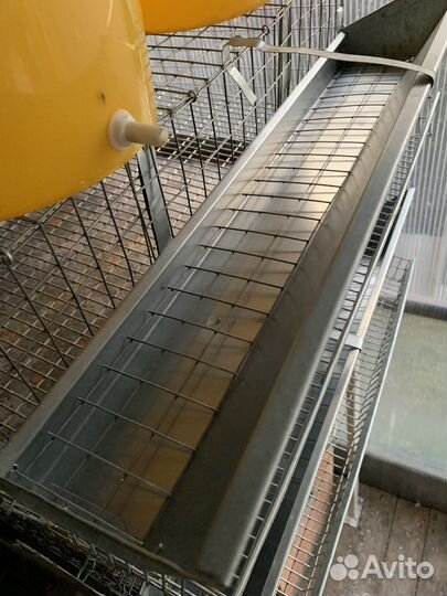 Клетки для перепелов б/у