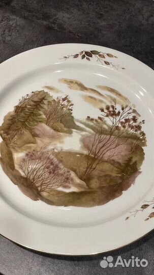 Столовый набор тарелок