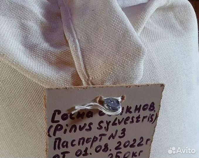 Семена лиственницы от производителя