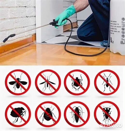 Обработка от тараканов дезинфекция