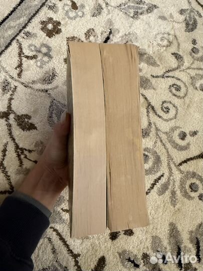 Джеймс Роллинс Пещера, Амазония